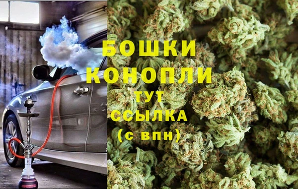 дживик Тобольск